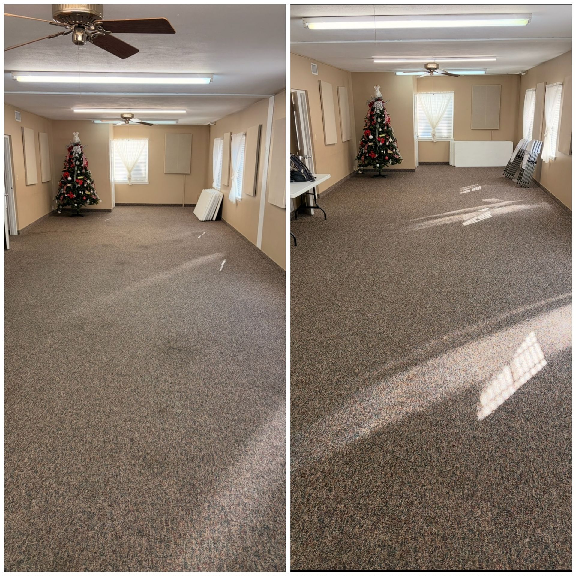 Side-by-side view of a carpeted room with a Christmas tree, windows, ceiling fan, and sunlight on the floor