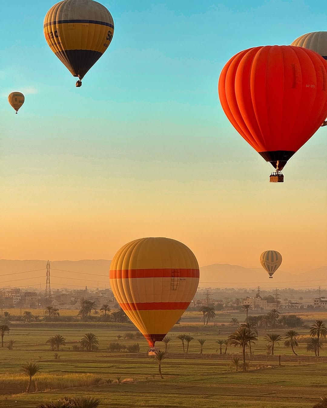 Hot air balloons flying over Luxor at sunrise