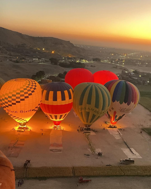 Multiple colorful hot air balloons, including Blue Bird and Dream Balloons, preparing for takeoff at dawn in Luxor