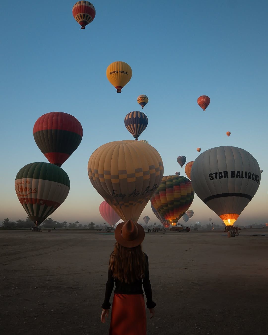 Aerial view of Luxor from a hot air balloon
