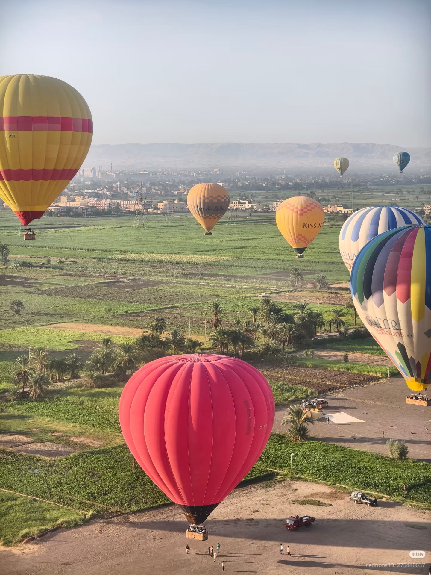 Hot air balloons preparing for a morning flight in Luxor Egypt