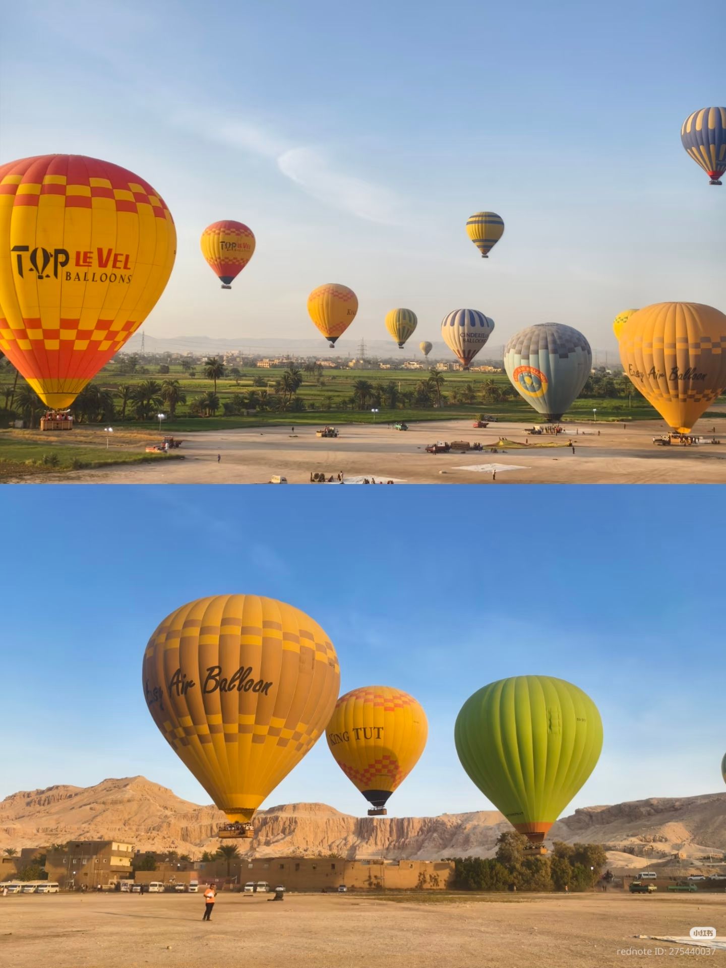 Hot air balloons flying over Luxor Egypt at sunrise