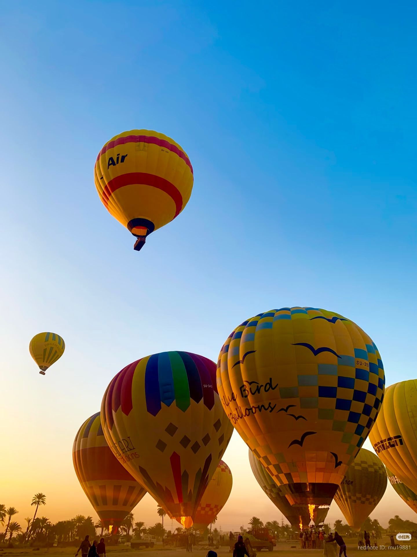 Hot air balloons flying over Luxor at sunrise