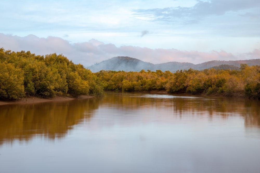 A River With Trees On The Shore And Mountains In The Background — Wallers Precision Tooling In Proserpine, QLD