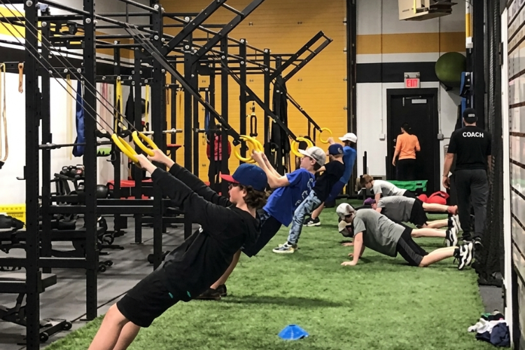 Gym Access and Online Workout Programming