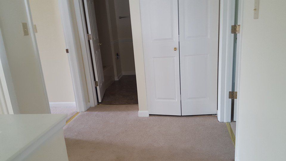A hallway with a closet and a carpeted floor in a house.