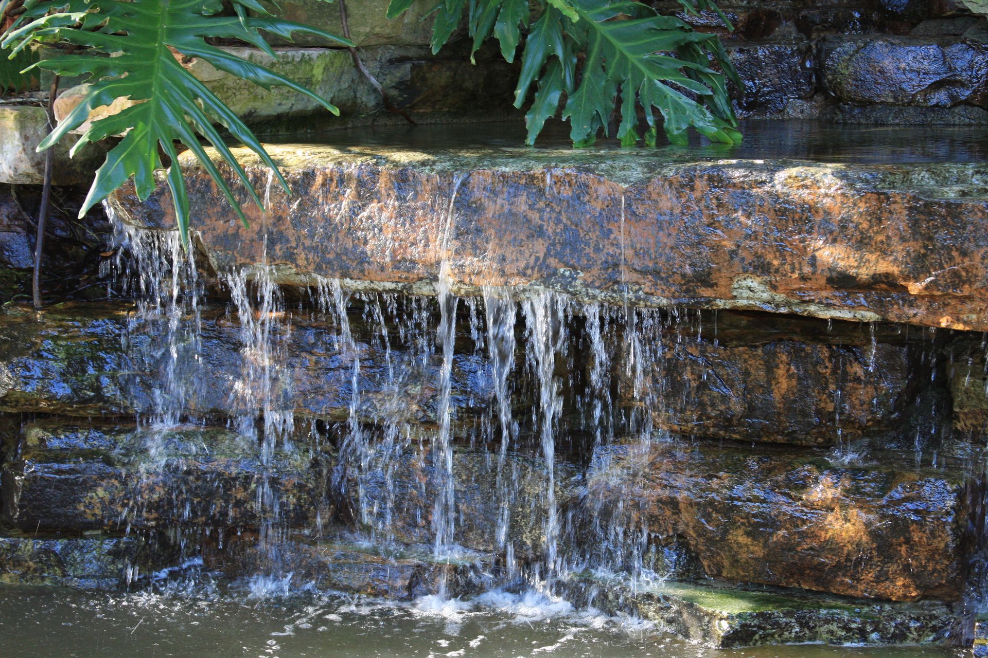 Small waterfall spilling over a rocky ledge into a pool, surrounded by lush green foliage Small waterfall spilling over a rocky ledge into a pool, surrounded by lush green foliage