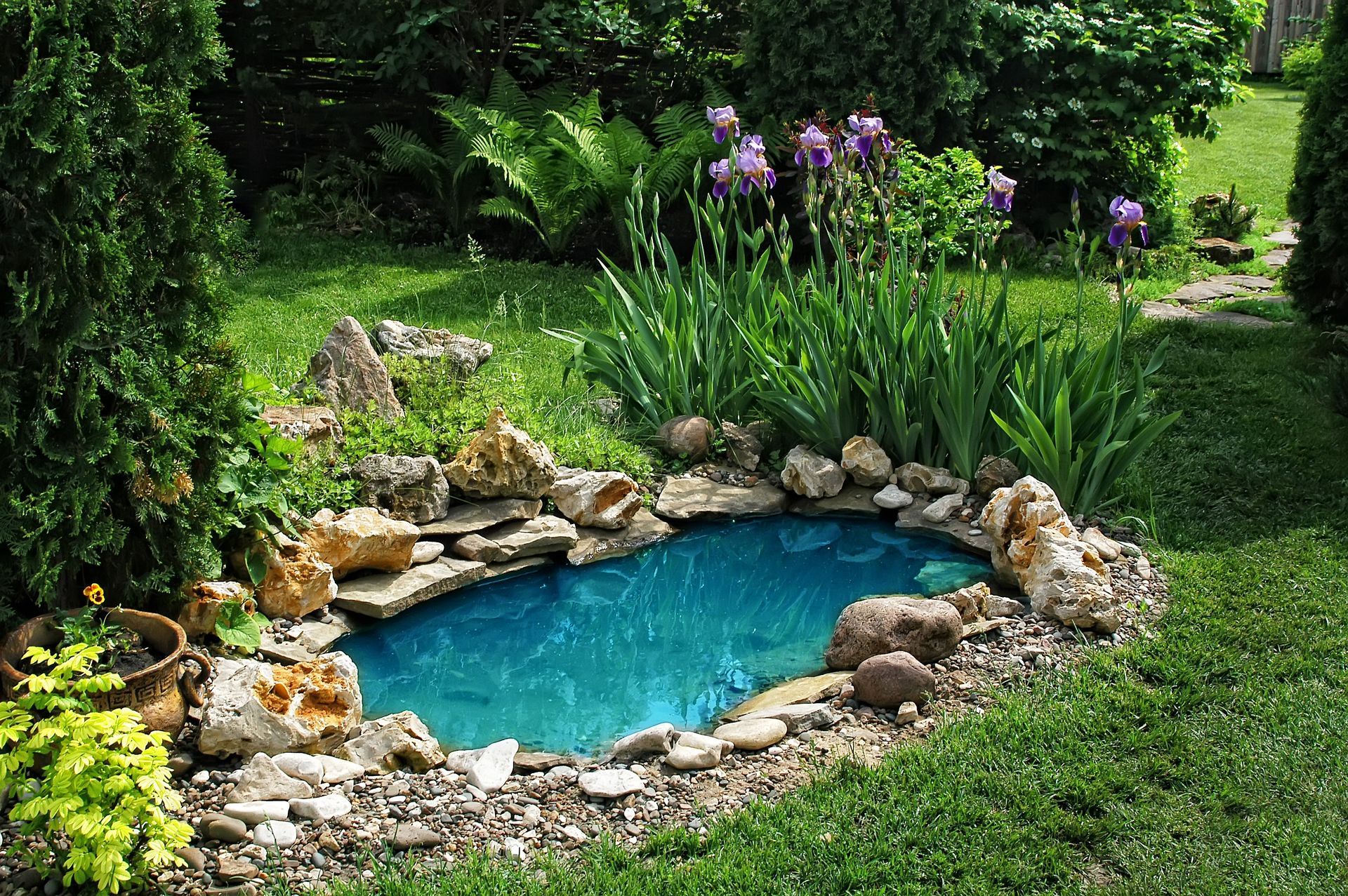 Backyard pond with rocks, purple flowers, and bright green plants beside a stone patio Small blue garden pond surrounded by rocks and lush green plants with purple flowers