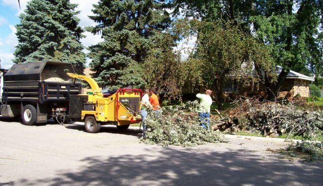 Public Works Tree Trimming