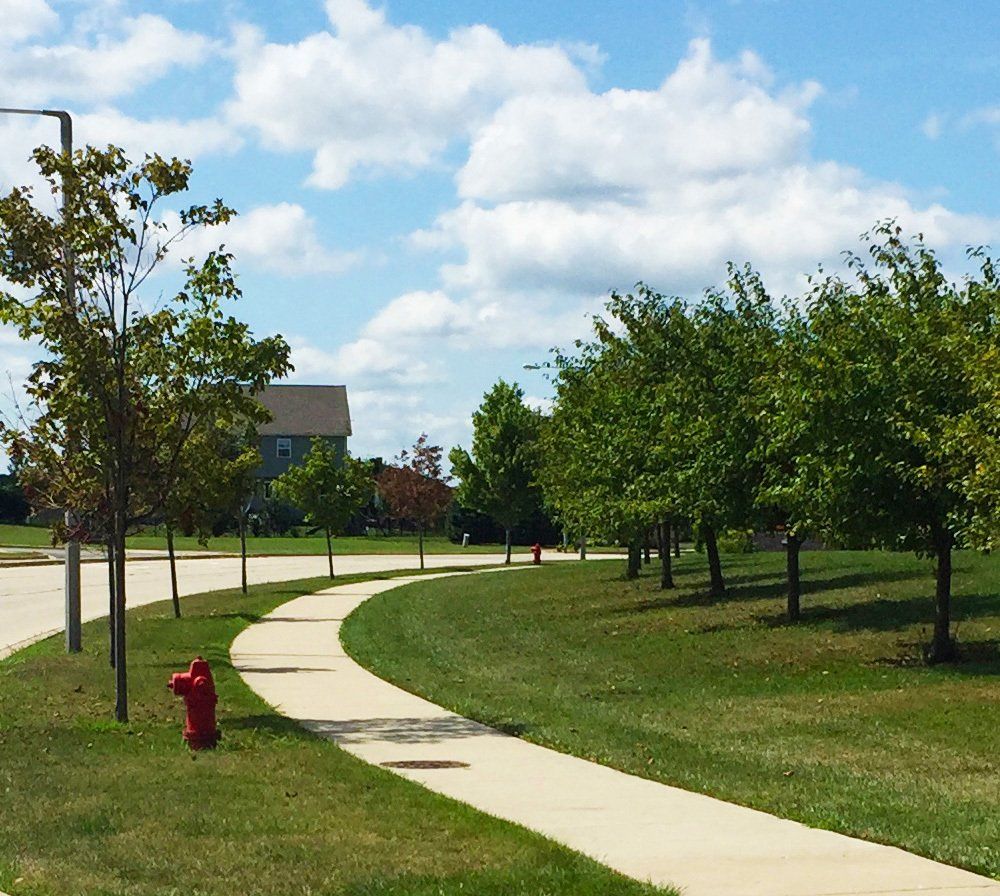 50/50 Sidewalk Replacement Program