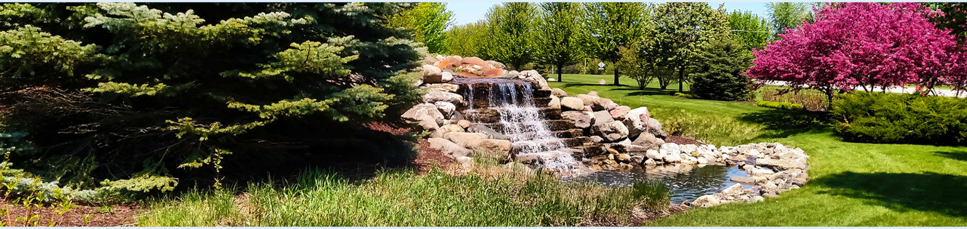 Sugar Grove Landscape
