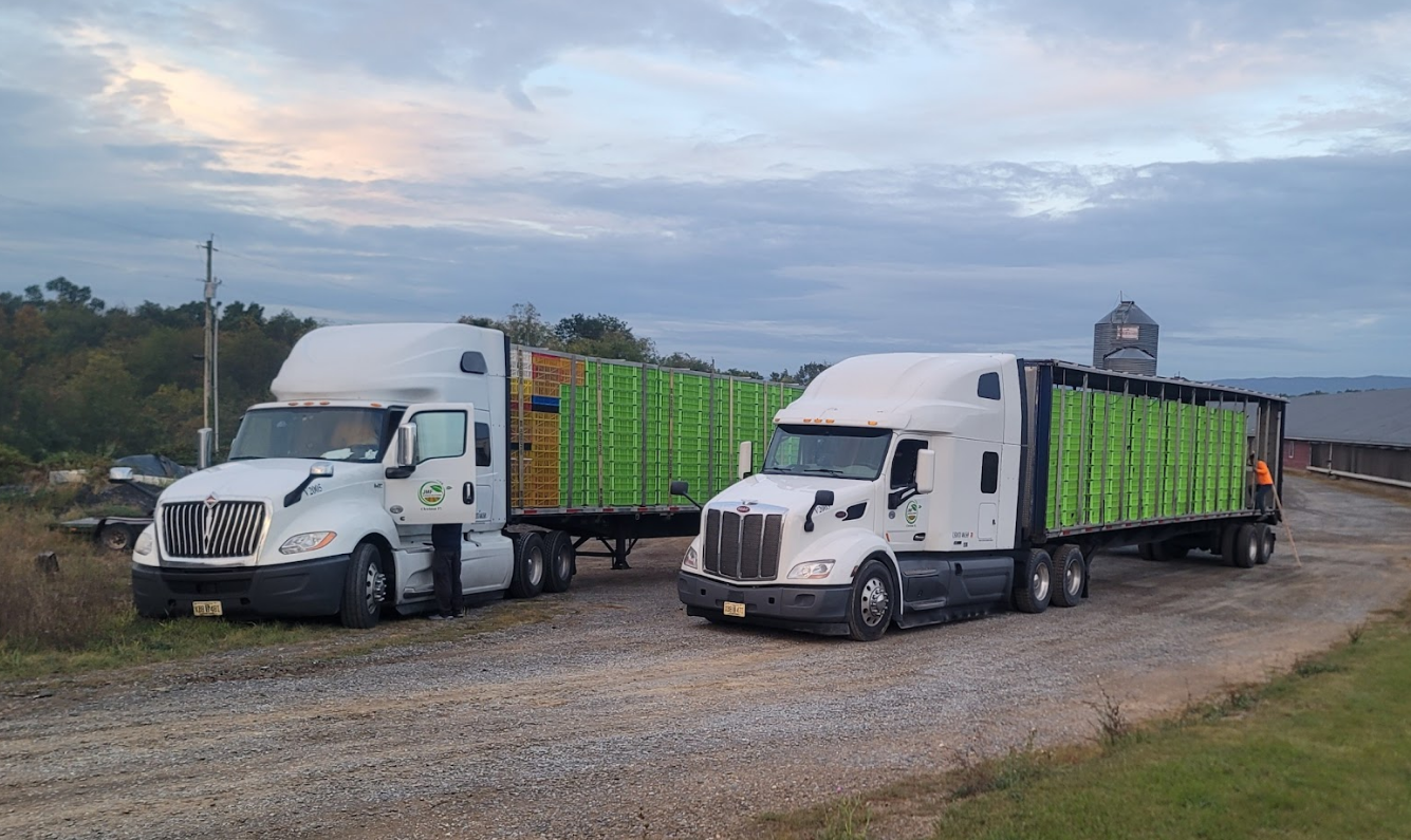 Two semi trucks are parked next to each other on a gravel road.
