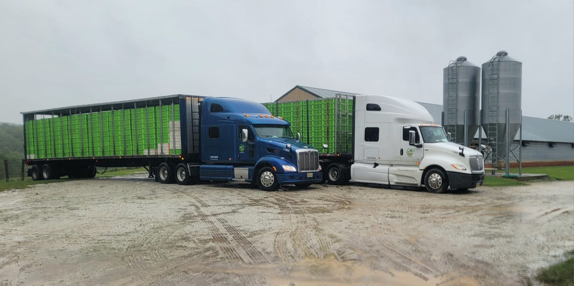Two semi trucks are parked next to each other in a dirt lot.