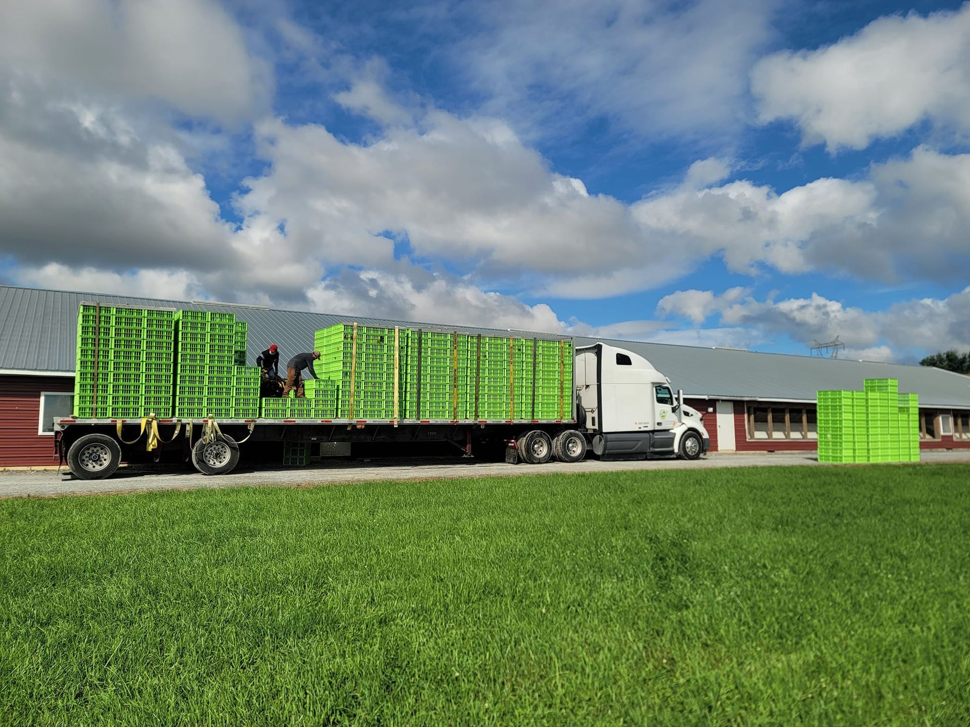 A semi truck filled with green crates is parked in a grassy field.