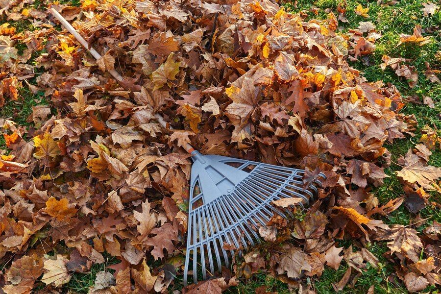 Leaf & Brush Cleanup