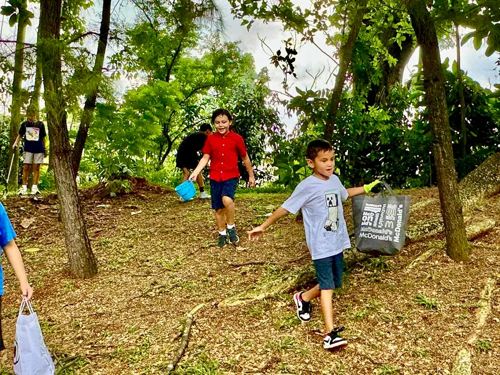 A group of young boys are playing frisbee in the woods.