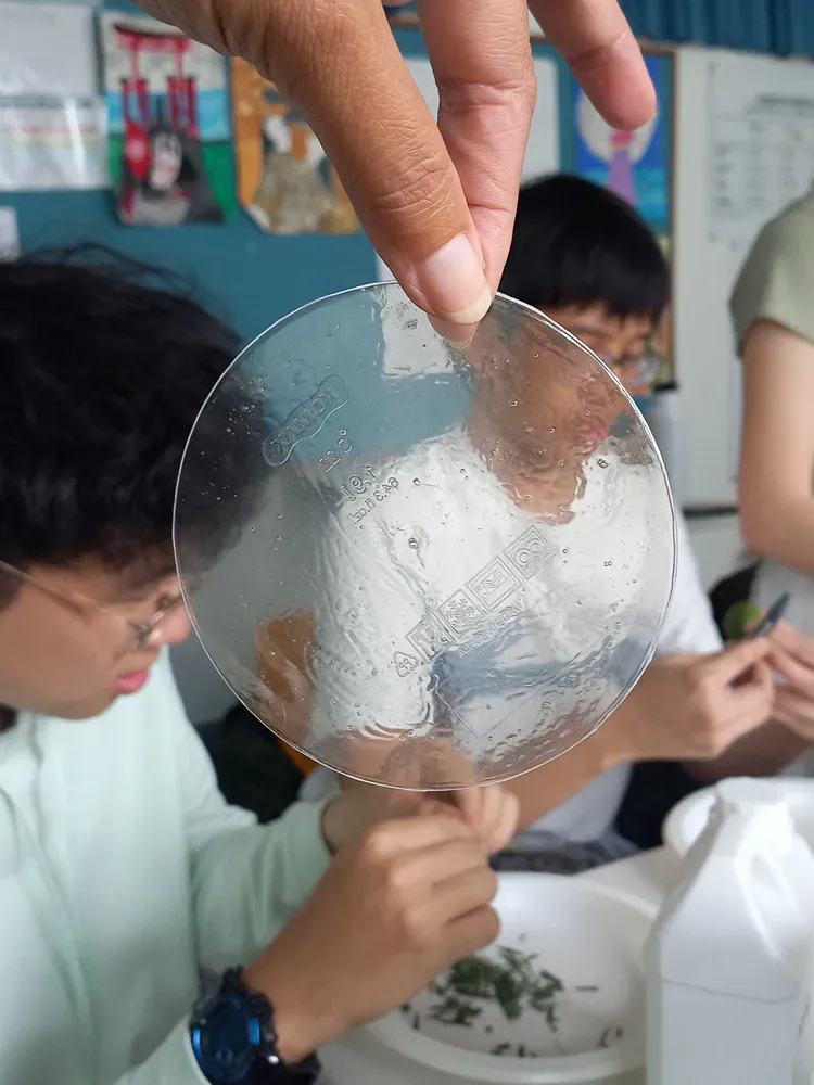 A person is holding a clear circle in their hand.