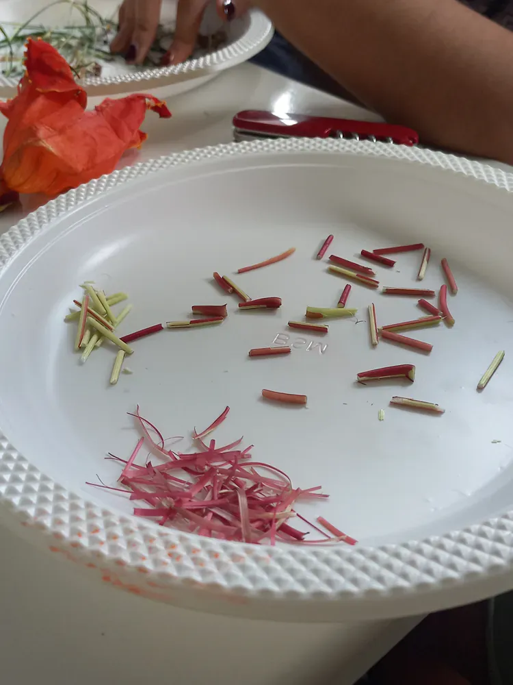 A white plate with a lot of small pieces of food on it