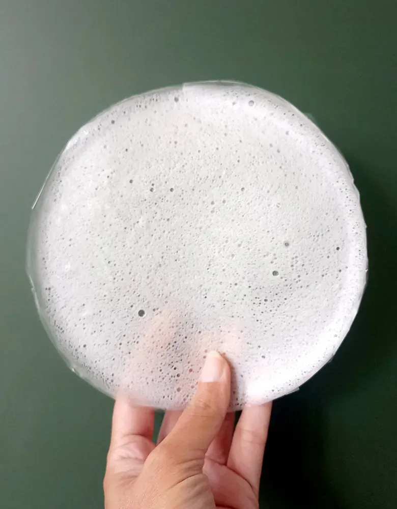 A person is holding a white plate in their hand.