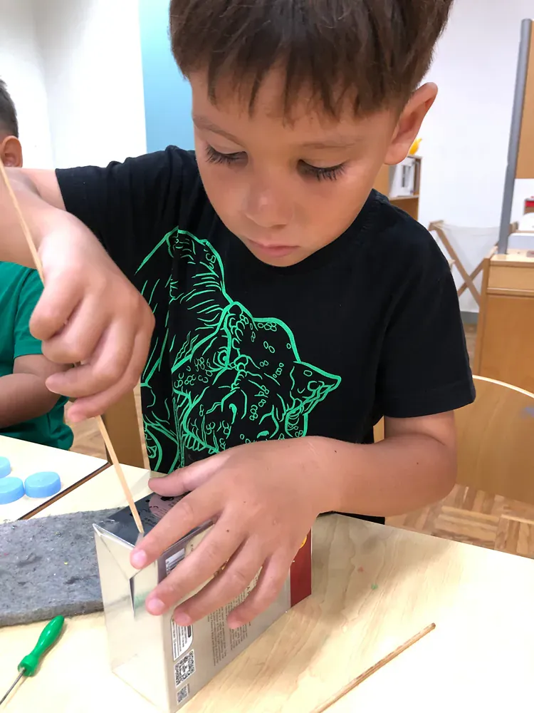 A young boy wearing a black shirt with a cat on it