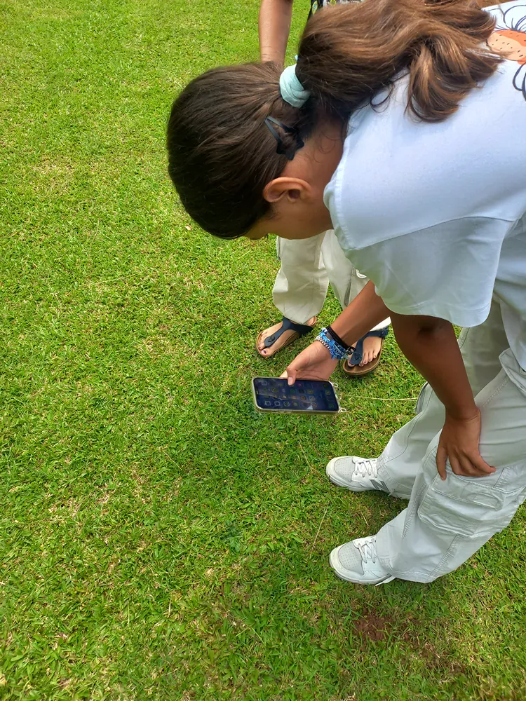 A girl is looking at a cell phone on the grass.