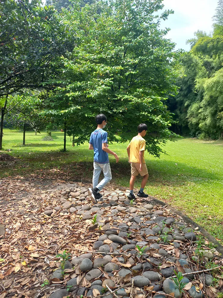Two men are walking on a rocky path in a park.