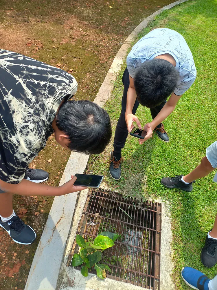A group of young men are looking into a manhole cover.