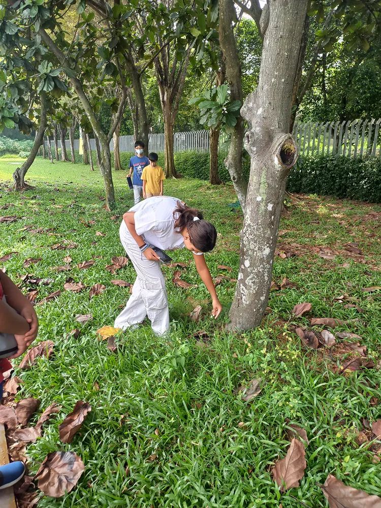 A woman is picking leaves from a tree in a park.