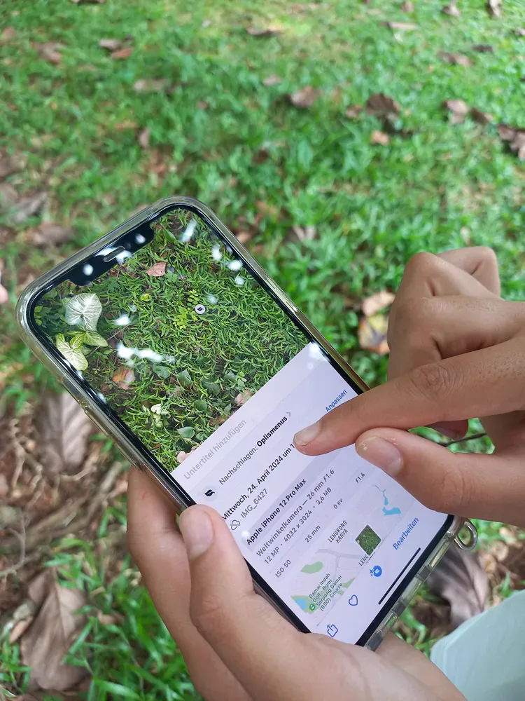 A person is holding a cell phone in their hand.