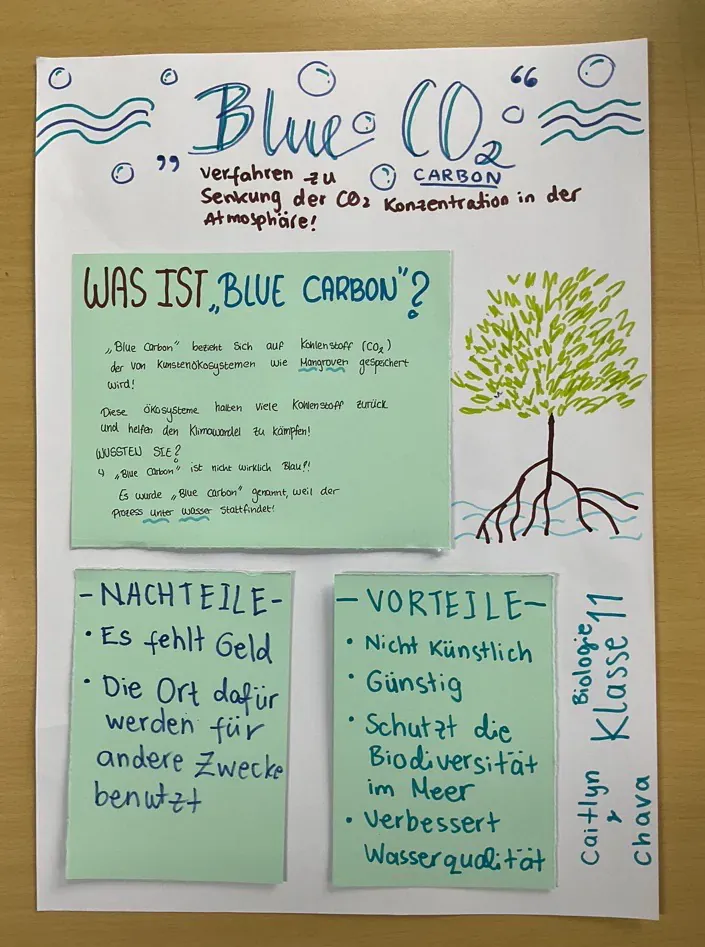 A piece of paper with a tree on it that says blue carbon