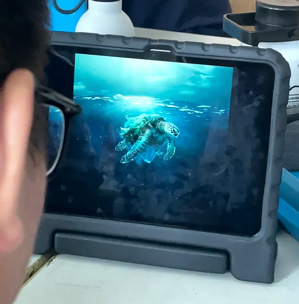 A person is looking at a tablet with a picture of a sea turtle on it