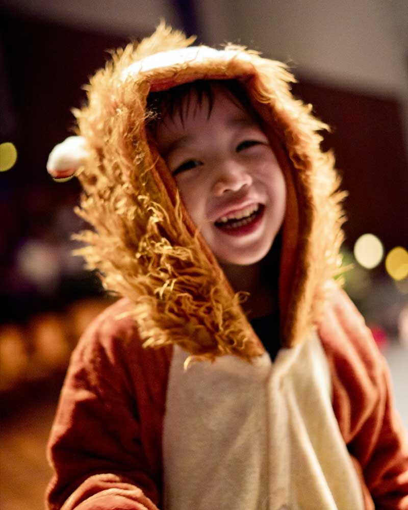 A little boy is wearing a lion costume and smiling
