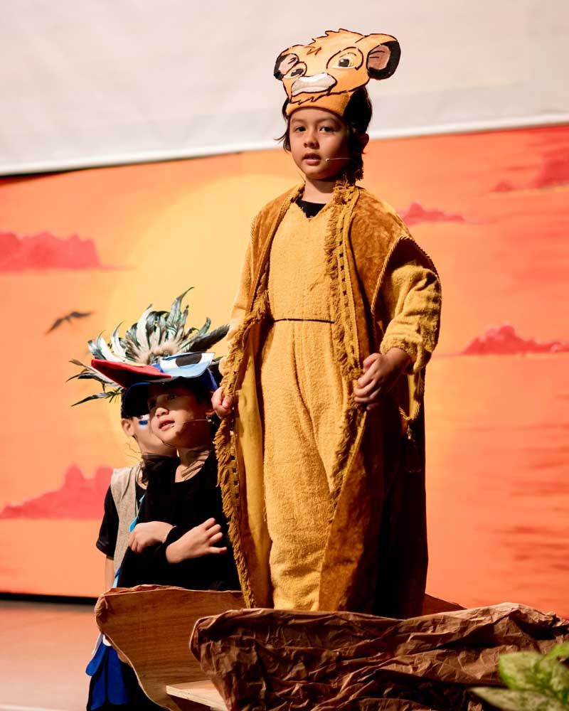 A young boy in a lion king costume is standing on a rock.