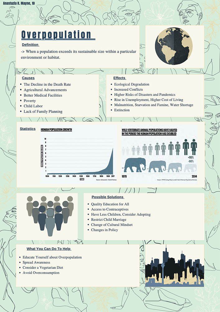 Deutsche Schule Jakarta, Environmental Posters grade 10