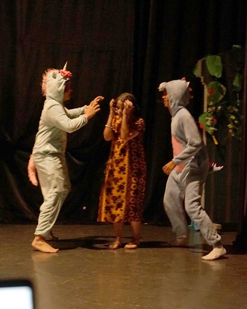 A group of people dressed in animal costumes are dancing on a stage.