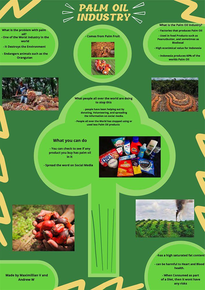 Deutsche Schule Jakarta, Environmental Posters grade 10