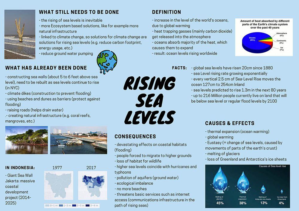 Deutsche Schule Jakarta, Environmental Posters grade 10