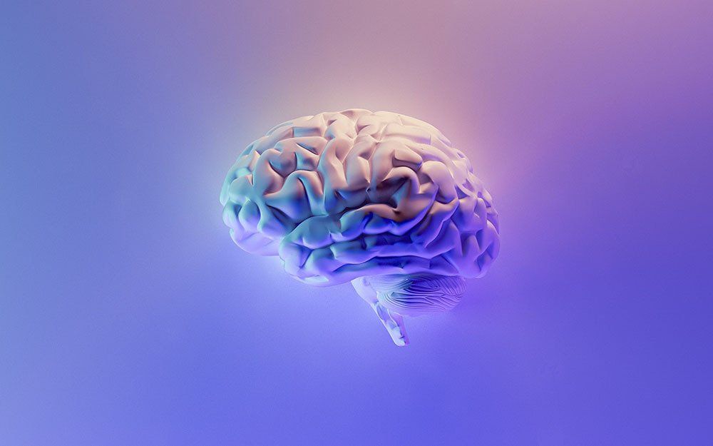 A 3d rendering of a human brain on a purple background.