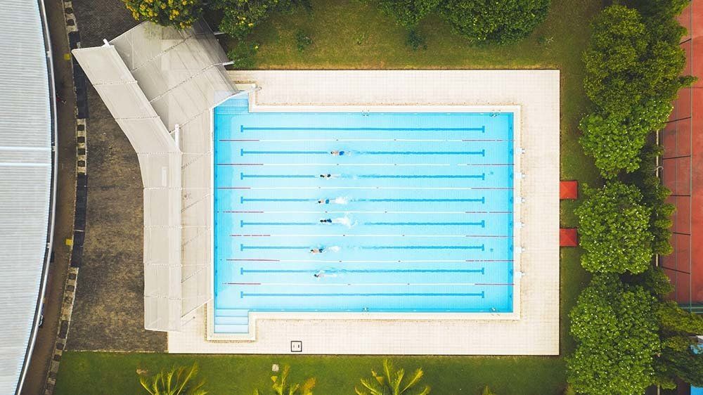 An aerial view of a swimming pool surrounded by trees and grass.