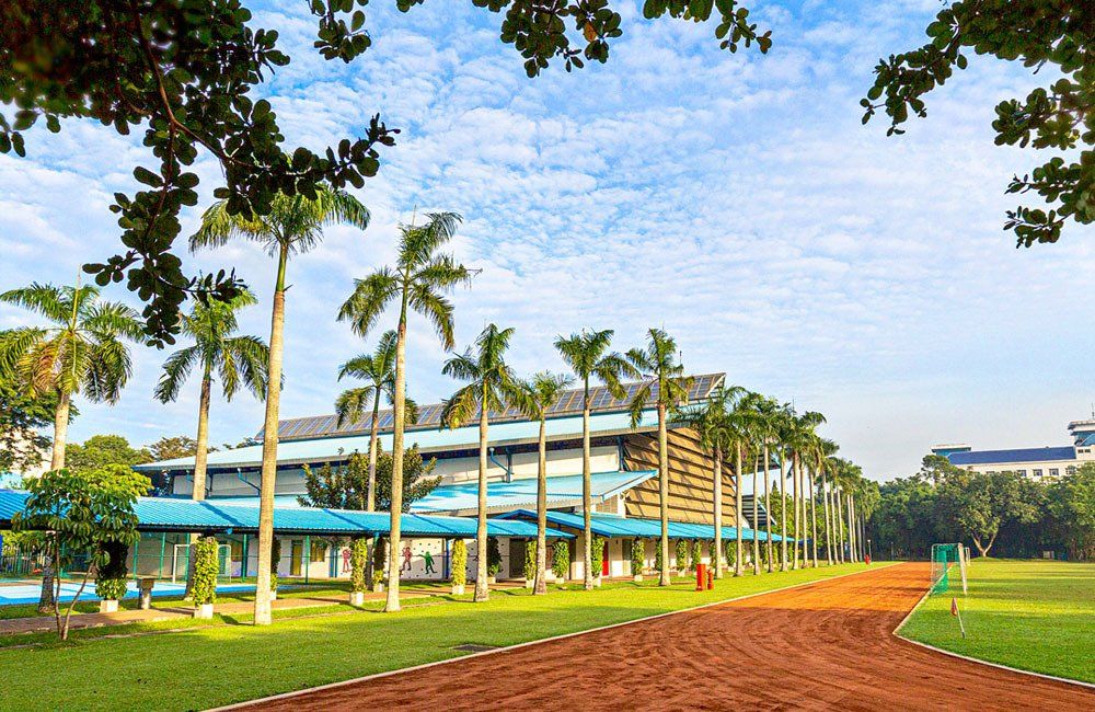 A dirt road leading to a building surrounded by palm trees.