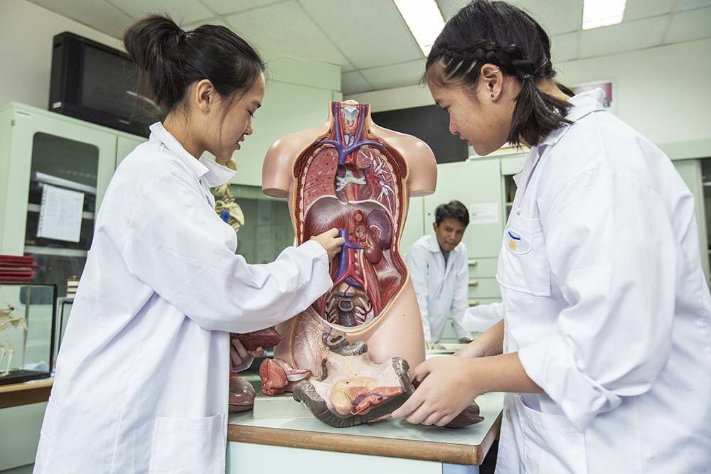 Two women are working on a model of the human body in a lab.