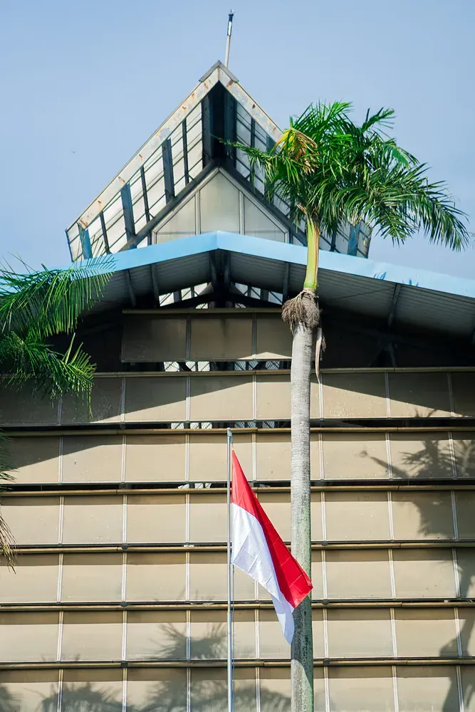 A flag is flying in front of a building with a palm tree in the foreground.