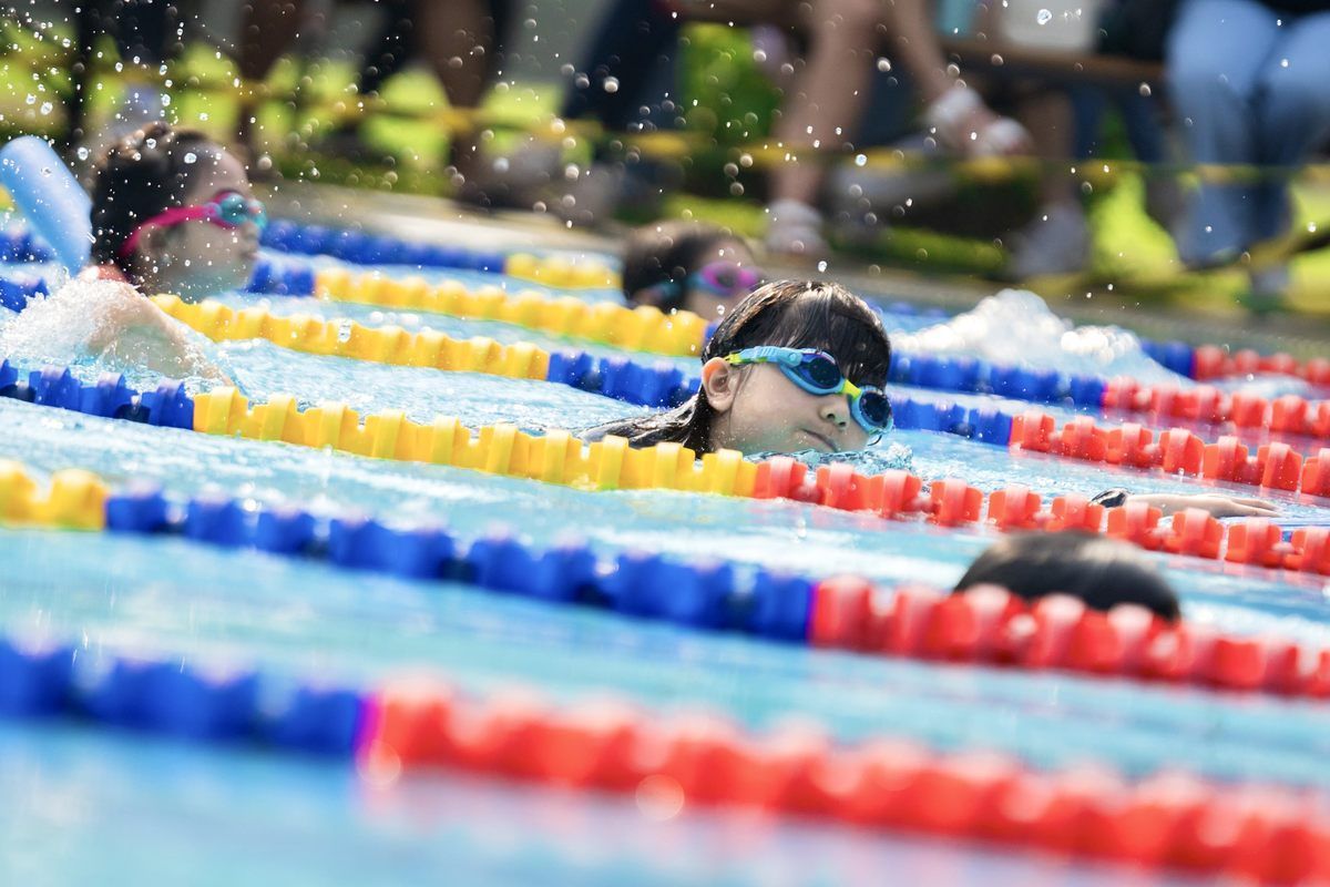 A group of people are swimming in a swimming pool.
