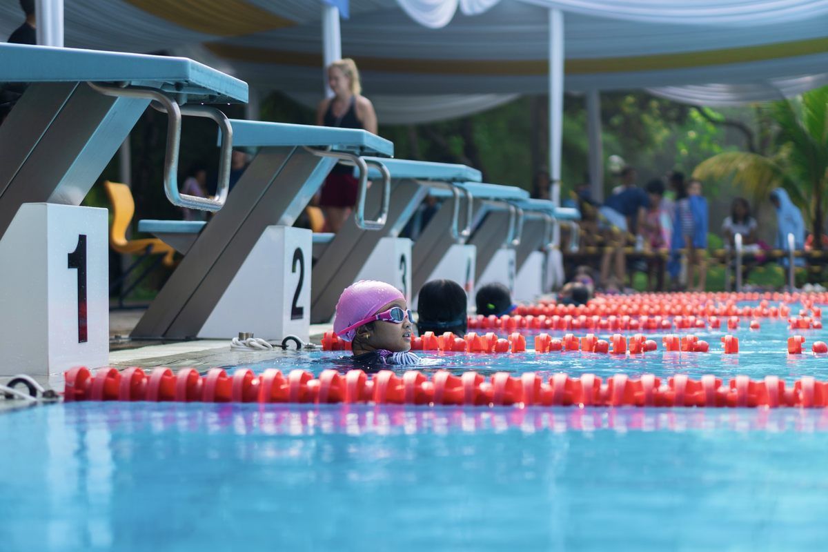 A group of people are swimming in a swimming pool.