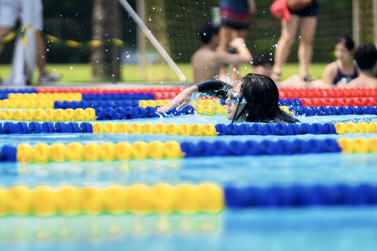 A person is swimming in a pool with blue and yellow lanes