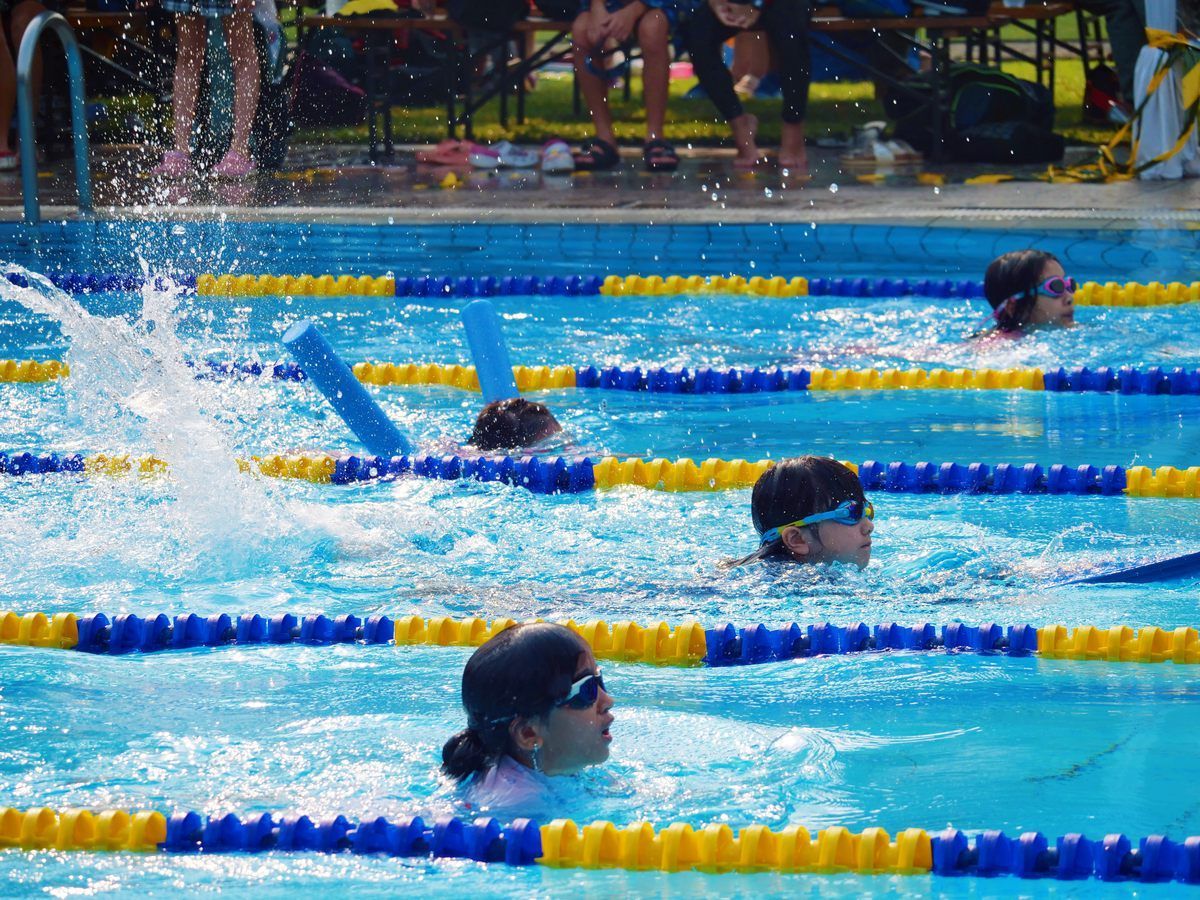A group of people are swimming in a swimming pool.