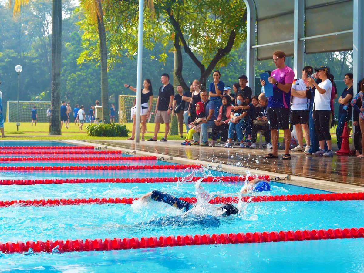 A group of people are watching a person swim in a swimming pool.