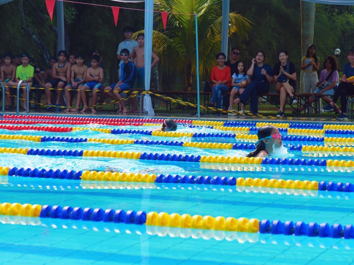 A group of people are watching people swim in a swimming pool.
