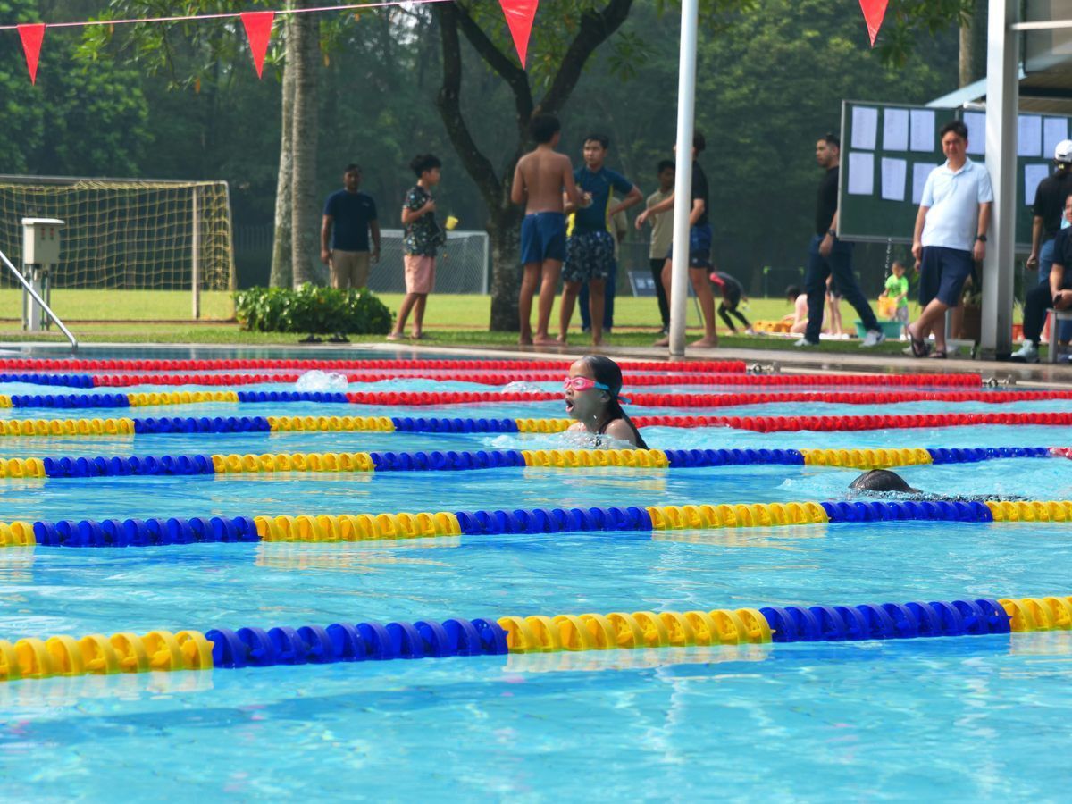 A group of people are standing around a swimming pool