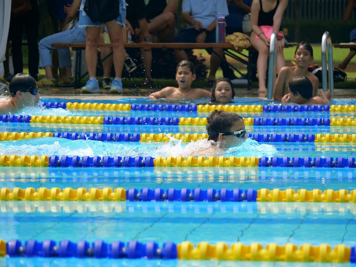 A group of people are swimming in a swimming pool
